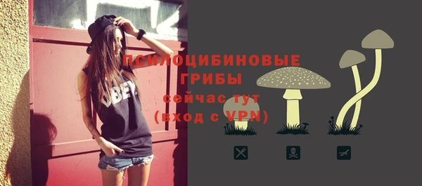 наркотики Белокуриха